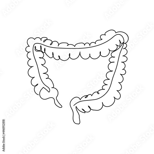 Human large intestine one line art. Continuous line drawing of human, internal, organs, intestines, small intestine, large intestine, gastrointestinal tract, viscera.