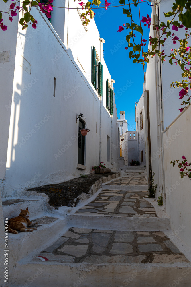 Fototapeta premium Pyrgos (Panormos) village in Tinos island, Greece