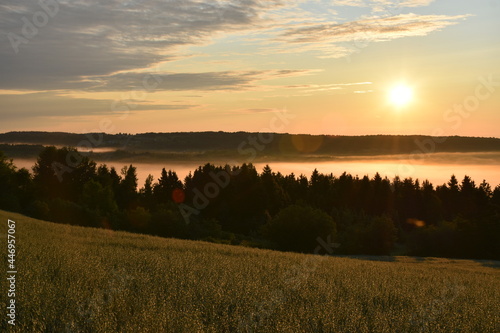A sunrise on a misty morning  Sainte-Apolline  Qu  bec  Canada