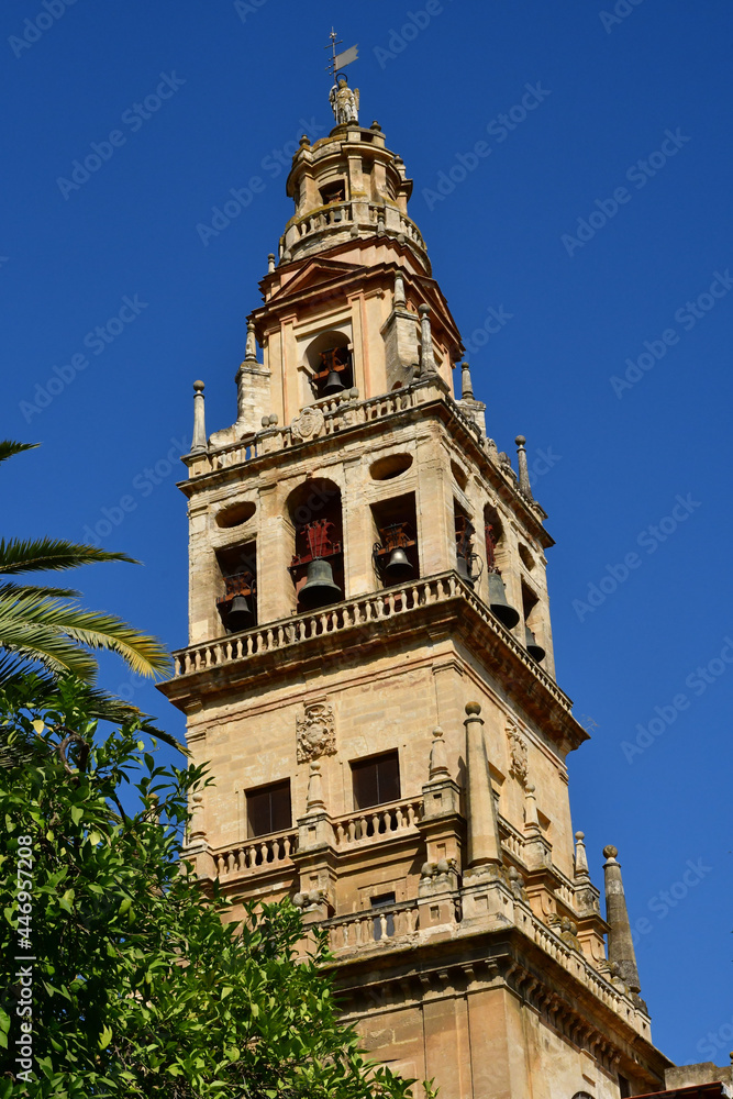 Cordoba; Spain - august 28 2019 : Mosque Cathedral