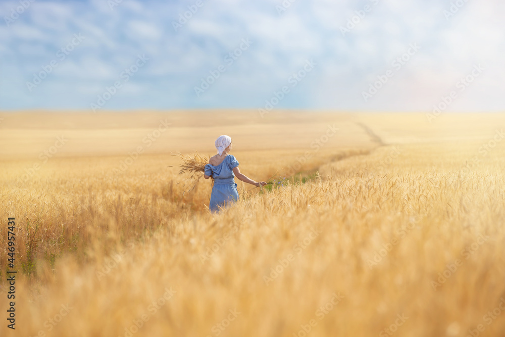 a young woman in a wheat field with ears in her hands, a sunny summer morning