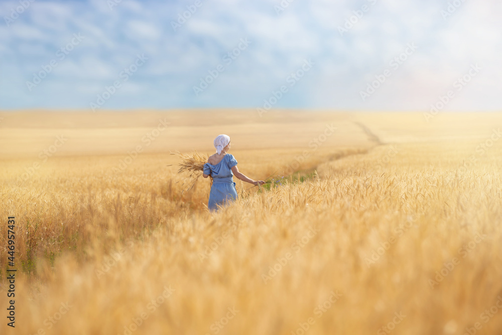 a young woman in a wheat field with ears in her hands, a sunny summer morning a young woman in a wheat field with ears in her hands, a sunny summer morning