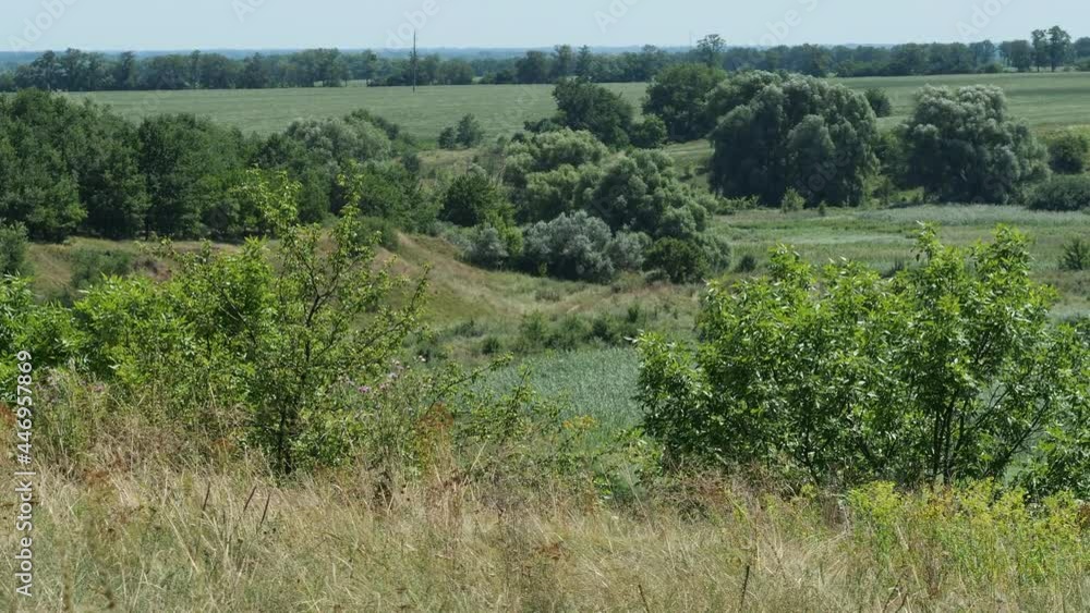 Floodplain of a stream on a plain on a summer day. Landscape panorama. Floodplain of a stream on a plain on a summer day. Landscape panorama.