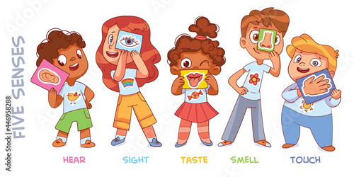 Five senses. Sight, hear, smell, taste, touch
