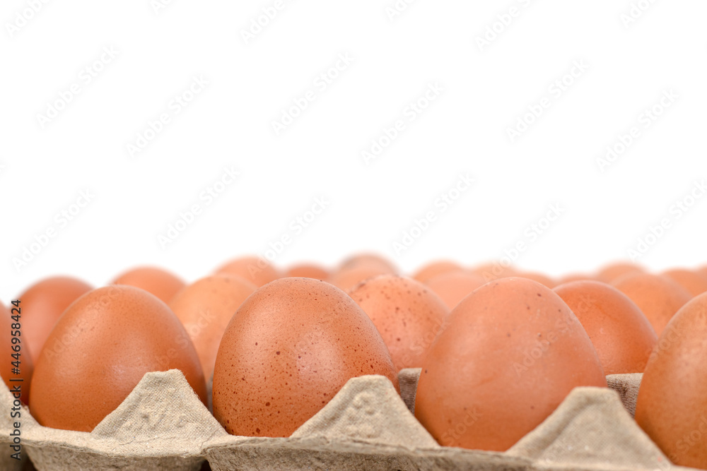 Close-up of chicken eggs laid out in a panel for easy storage and cooking.