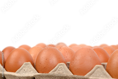 Close-up of chicken eggs laid out in a panel for easy storage and cooking.