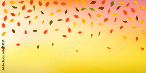 Falling autumn leaves. Red, yellow, green, brown r