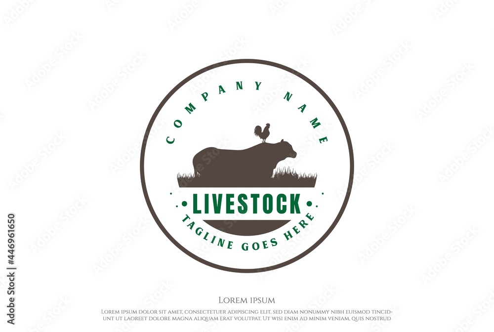 Vintage Retro Angus Cow Bull with Rooster Cock for Cattle Livestock Farm Ranch Label Logo Design Vector