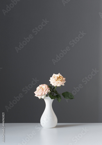 two roses in white vase on gray background