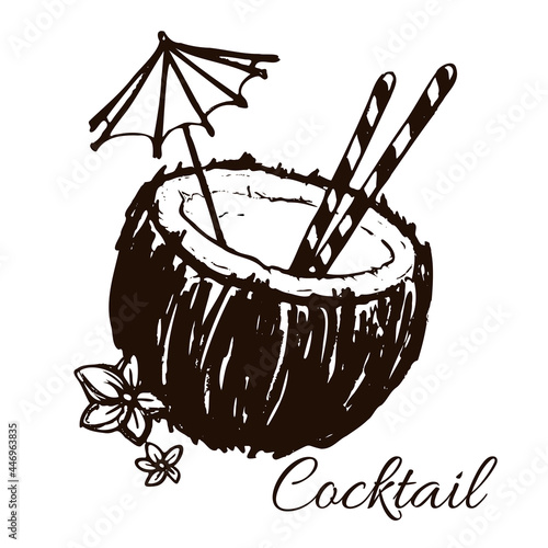 coconut cocktail sketch hand drawn vector