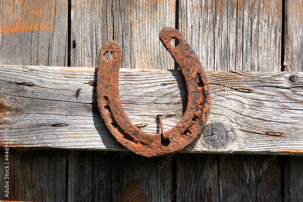 Steel horseshoe on wooden plank background. Old Rusty horseshoes on a wooden wall Steel horseshoe on wooden plank background. Old Rusty horseshoes on a wooden wall
