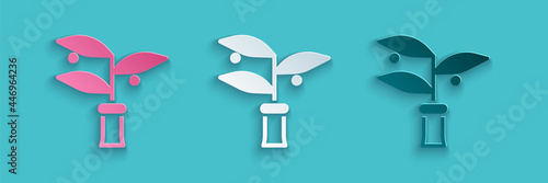 Paper cut Plant breeding icon isolated on blue background. Plants growing in the test tubes. Organic food ,agriculture and hydroponic. Paper art style. Vector