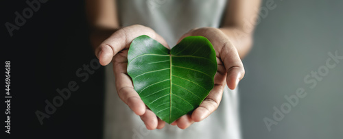 Green Energy, ESG, Renewable and Sustainable Resources. Environmental and Ecology Care Concept. Close up of Hand holding a Heart Shape Green Leaf photo