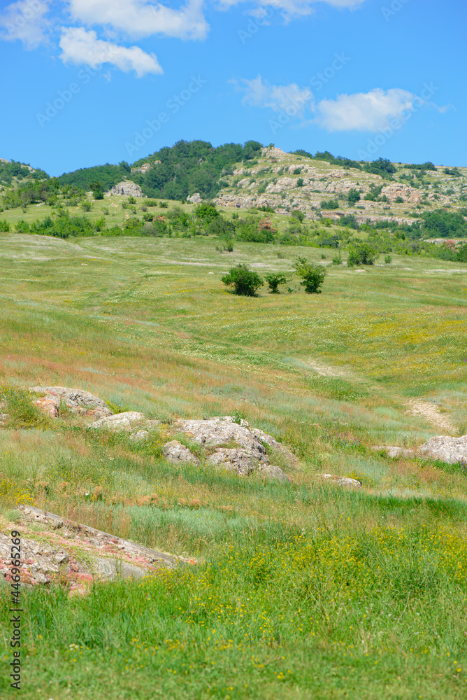 A mountain with green vegetation at the foot A mountain with green vegetation at the foot