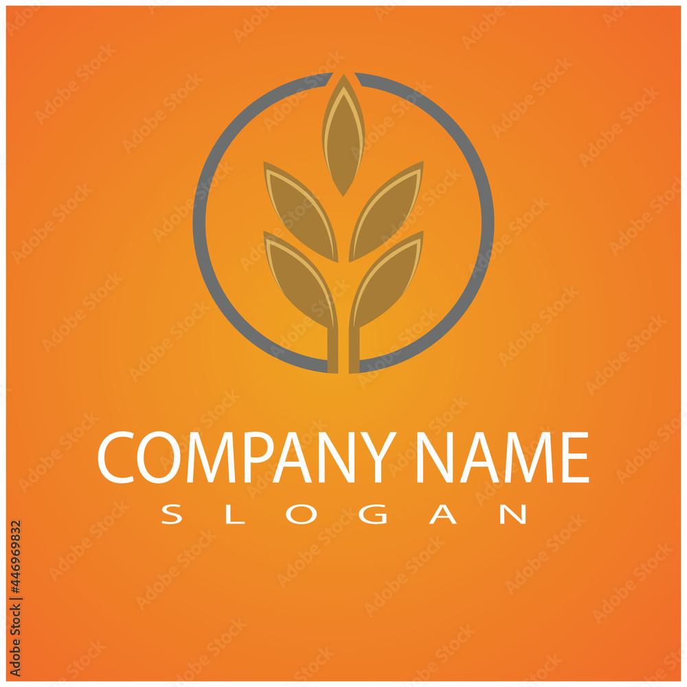 Luxury Golden Grain Weath / Rice Logo Design Vector Luxury Golden Grain Weath / Rice Logo Design Vector