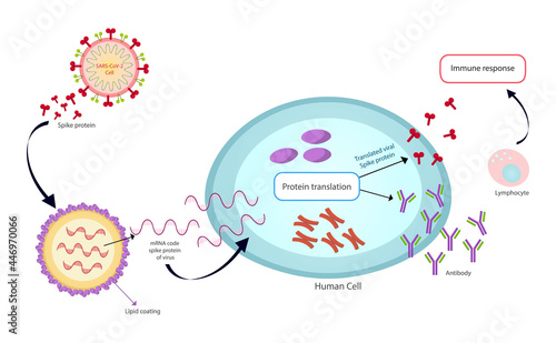 mRNA Vaccine SARS-Cov-2. Covid19 virus vaccine vector texture.