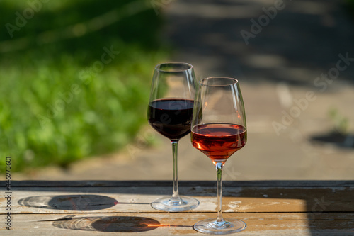 Glasses of red and pink wine with shadows over green garden background.