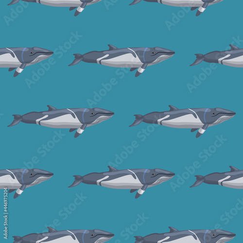 Seamless pattern lesser rorqual on blue background. Template of cartoon character of ocean for fabric.