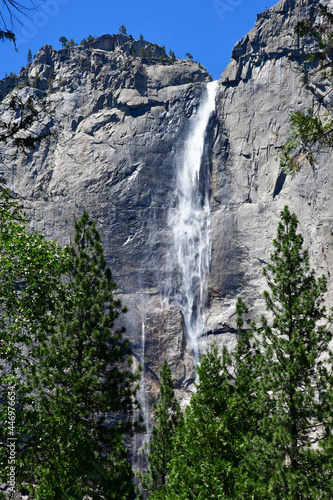 USA - july 12 2016   Yosemite National Park