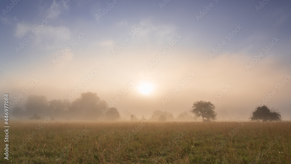 Sunrise on a foggy summer morning somewhere in the floodplains of the river Rhine