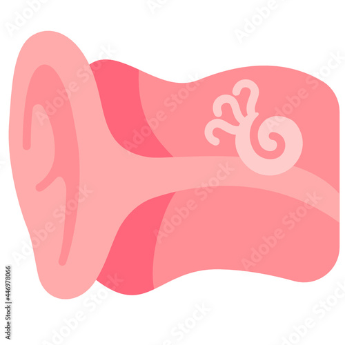 Ear