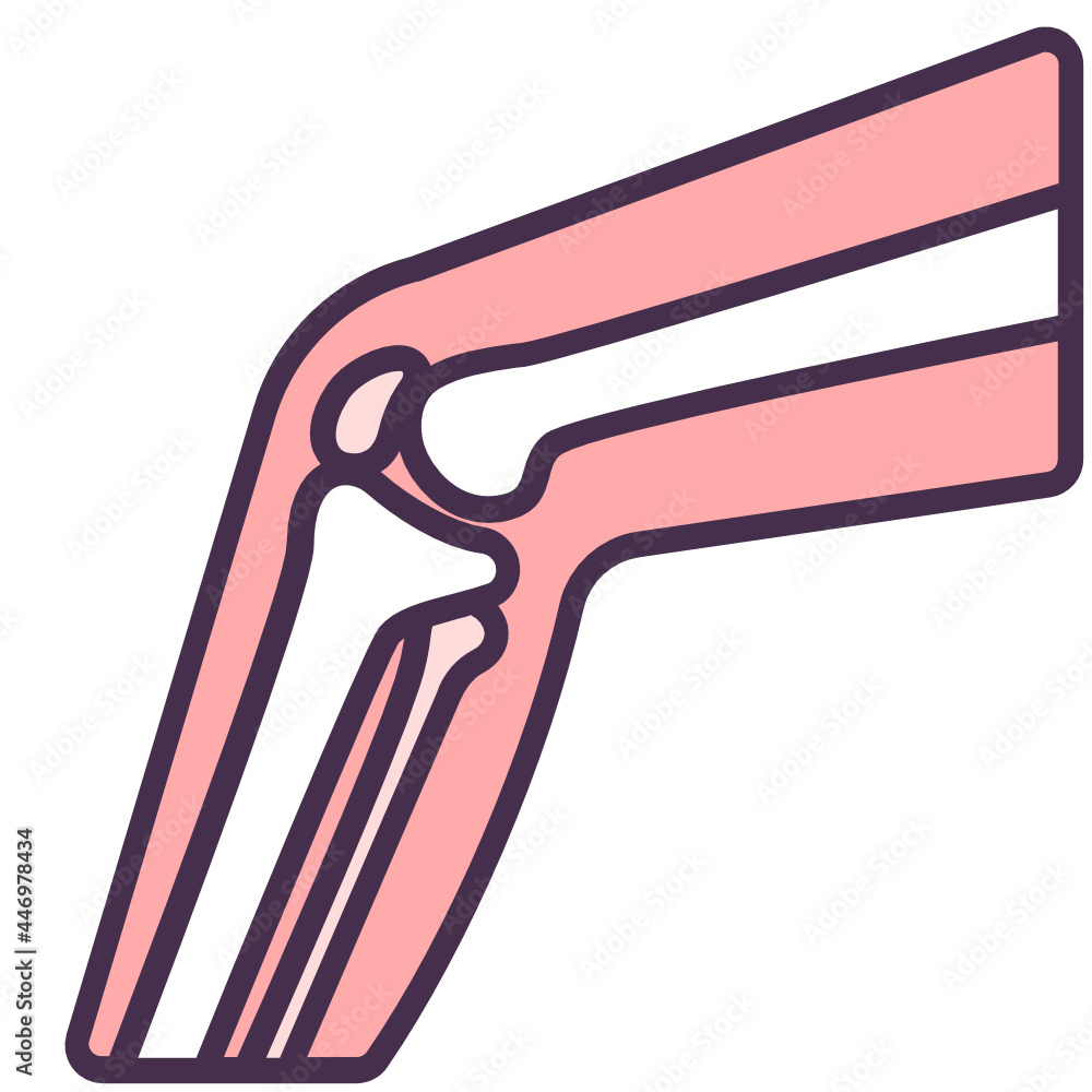 Obraz premium Knee Joint