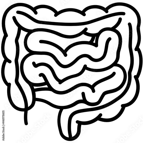 Intestine