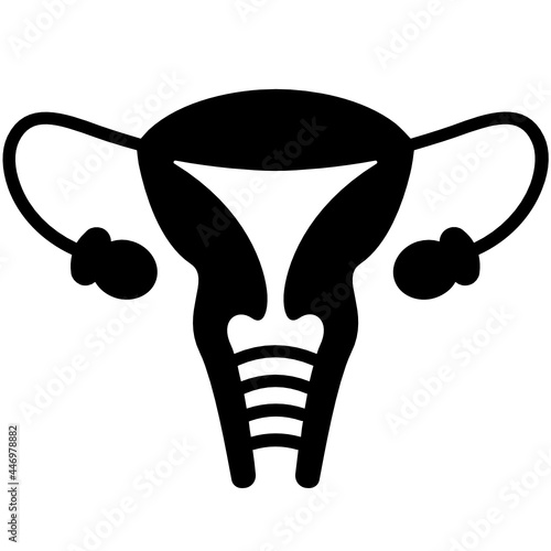 Female Reproductive System