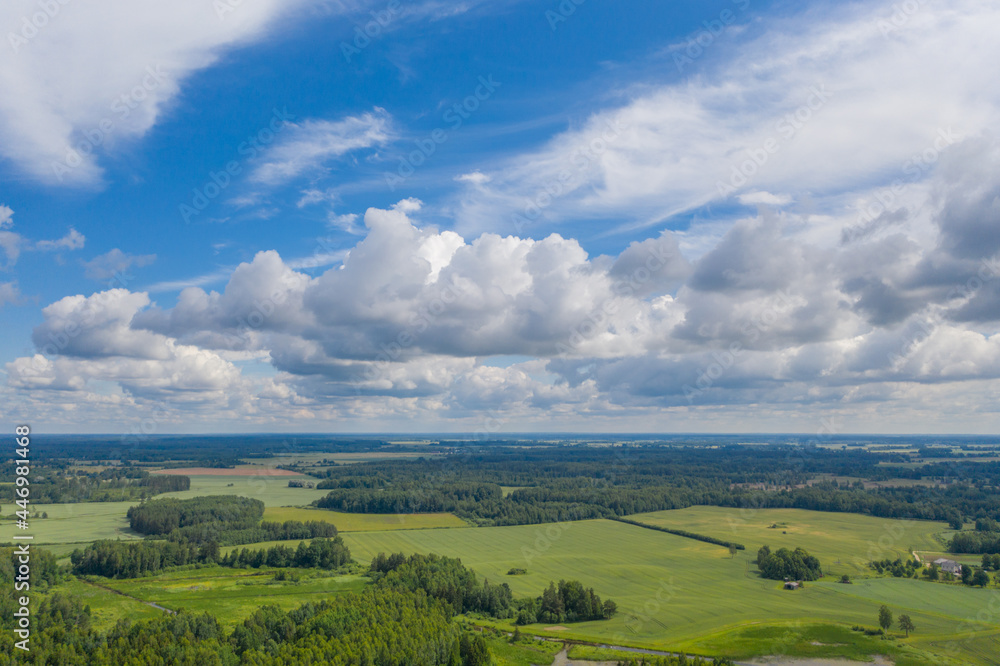 Aerial view of green forests surrounded by green farmland fields. Blue sky with white clouds