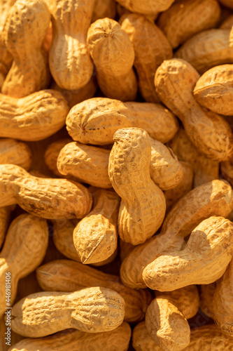 Peanuts in shells. Roasted in the Shell Peanuts.