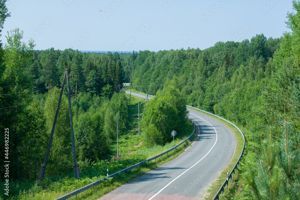 Empty winding asphalt road going through green forest