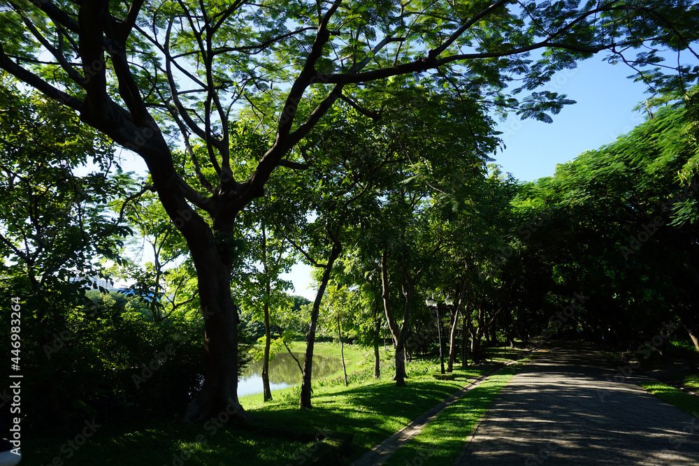 The atmosphere in Satara Park has many trees.