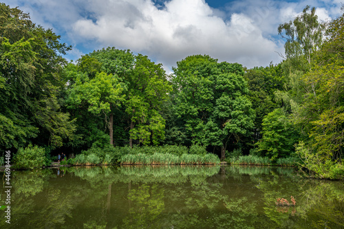 Forest lake with surrounding beech forest, The trees are reflected in the lake.