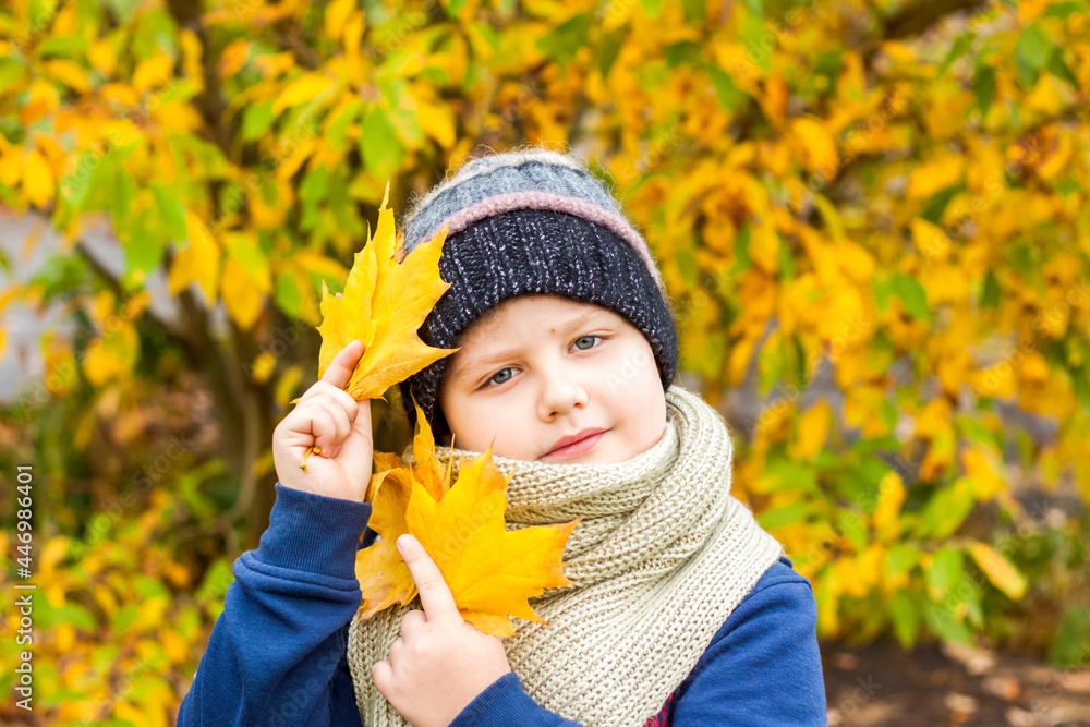 Autumn mood. A boy poses against a background of yellow leaves. Autumn portrait of a child in a knitted hat. Sight. Cute smiling boy. Autumn mood. A boy poses against a background of yellow leaves. Autumn portrait of a child in a knitted hat. Sight. Cute smiling boy.