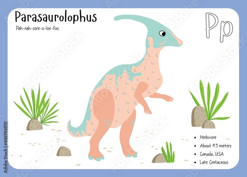 Dinosaur Fact Flash Cards - Dinosaur Names Corresponding to the English Alphabet. Cute colorful vector illustration. Herbivore set. Dinosaur vegan. Set cards a-z dinosaur P. Parasaurolophus