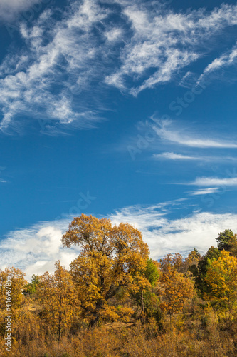 Autumn in Antalya Bey Mountains