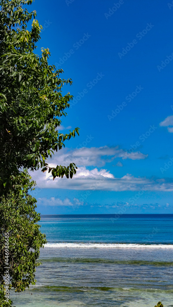 Skyline, clouds and calm ocean, green tree on the left, copyspace