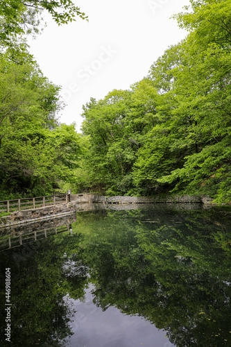 Fish pond at Schramm Park in Nebraska