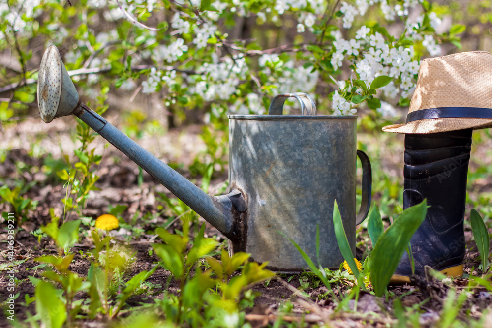 An old iron watering can, a hat, and rubber boots stand in the garden. Gardening and gardening, An old iron watering can, a hat, and rubber boots stand in the garden. Gardening and gardening,