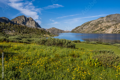 Wildflowers by Duck Lake in Sierra Nevada mountains
