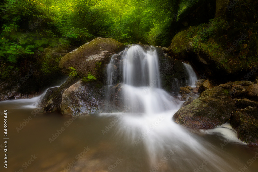 Fototapeta premium Waterfall deep in the forest. The beauty of green plants in summer time. 
