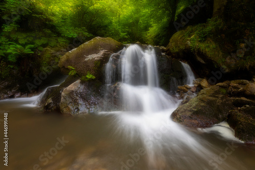 Fototapeta Naklejka Na Ścianę i Meble -  Waterfall deep in the forest. The beauty of green plants in summer time.	