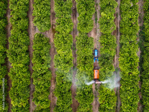 Tractor spraying citrus 