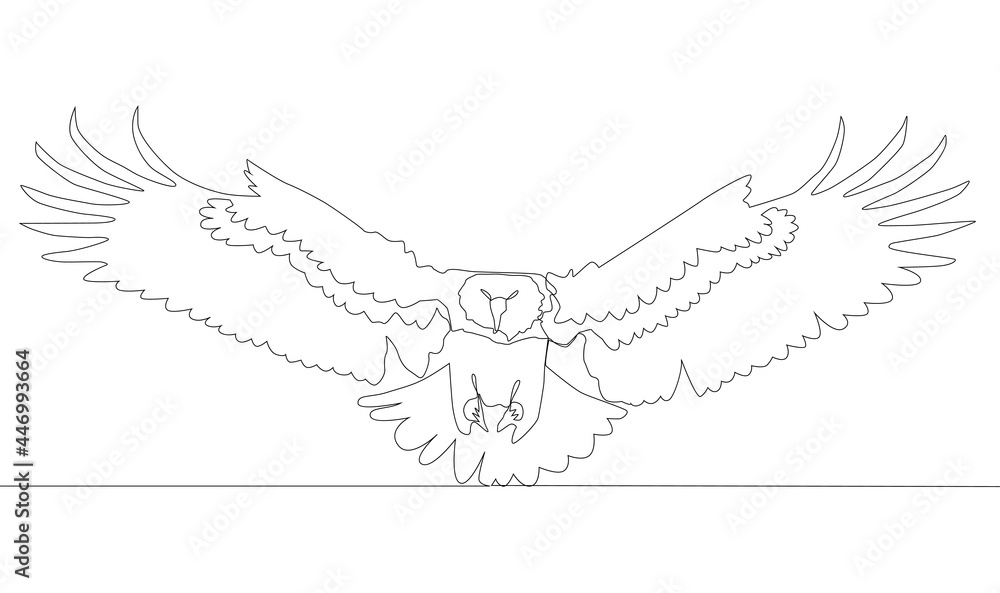 Obraz premium Self drawing animation of continuous one single line drawing of silhouette of a bird eagle.
