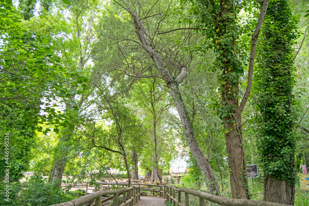 Footbridge leading to the source of the Hueznar river in San Nicolas del Puerto, North Seville Mountain, Andalusia, Spain Footbridge leading to the source of the Hueznar river in San Nicolas del Puerto, North Seville Mountain, Andalusia, Spain