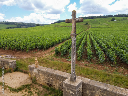 Aerian view on walled green grand cru and premier cru vineyards with rows of pinot noir grapes plants in Cote de nuits, making of famous red Burgundy wine in Burgundy region of eastern France. photo
