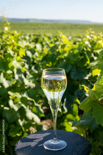 Tasting of brut and demi-sec white champagne sparkling wine from special flute glasses with Champagne vineyards on background, France