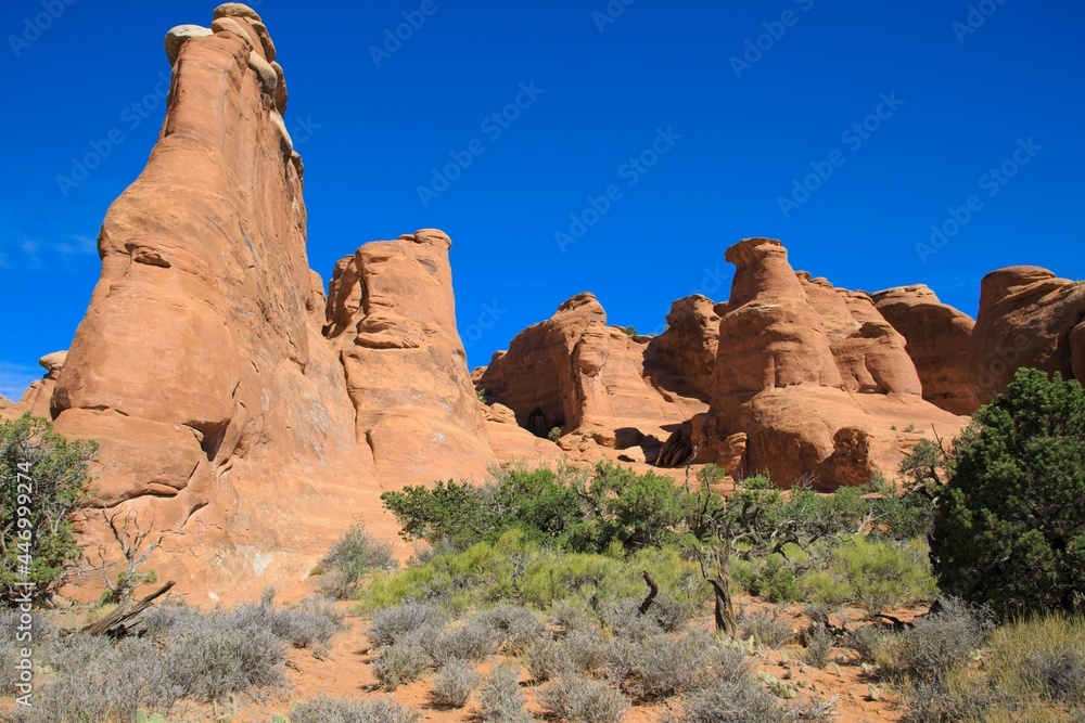 Fototapeta premium Arches National Park, Utah, USA. the landscape of contrasting colors and textures. natural stone arches and hundreds of soaring pinnacles