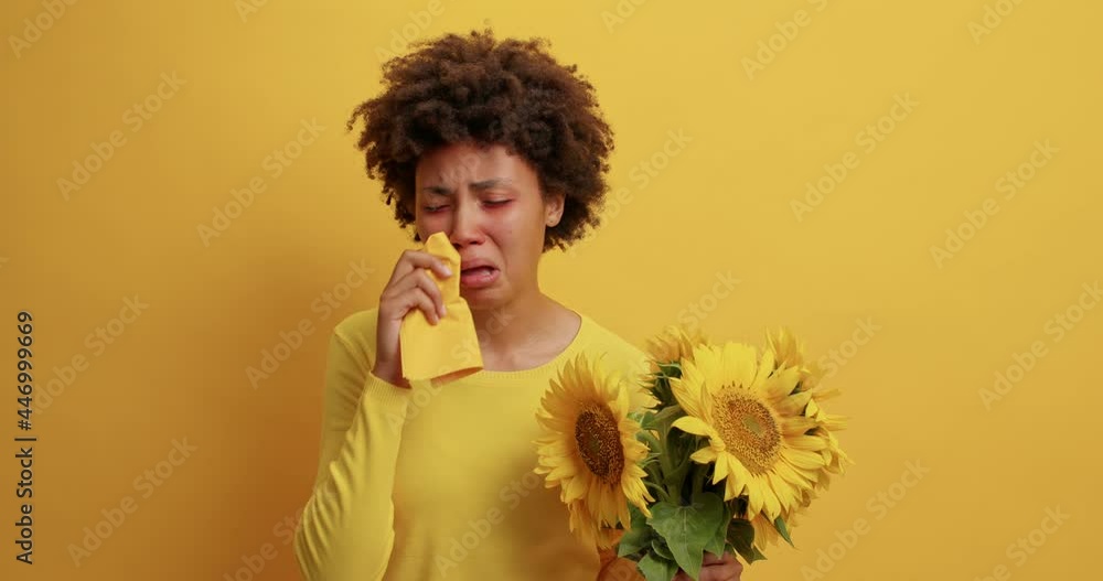 Displeased Afro American woman has allergy to sunflowers sneezes in napkin has runny nose red swollen eyes feels unwell wears jumper poses against yellow background. Health and symptoms concept Displeased Afro American woman has allergy to sunflowers sneezes in napkin has runny nose red swollen eyes feels unwell wears jumper poses against yellow background. Health and symptoms concept