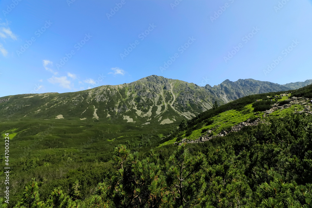 Summer Landscape with Mountains and Grass Meadow. Mountain on the Background of Blue Sunny Sky. Taras Mountains, Poland. Green Valley. Grassfield in the Mountains. - obrazy, fototapety, plakaty 